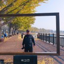 곡교천 이미지