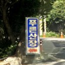 산장민박 | 광양 옥룡 계곡 산장 닭구이 백숙 맛집 추천 푸른산장 솔직후기 민박 평상 애견동반 여부 쑥붕어빵 웨이팅