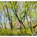 헐티로11길 이미지