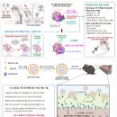 튼튼구조엔지니어링