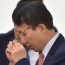 안경 이미지