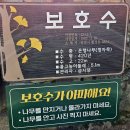 밀양 산성산 이미지