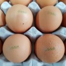 지현농장 이미지