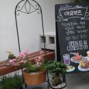 아미가르 이미지