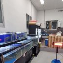 해담활어회 이미지