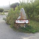 자연사슴농장 이미지