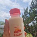 김천몸조아