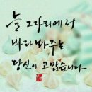 시절인연 이미지