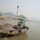 H8214 Daum카페