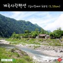 남이섬 봄펜션 이미지