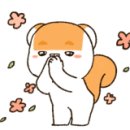 독스호텔리어 이미지