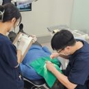 임플라인치과의원 이미지