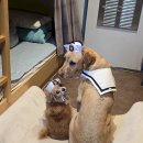 한일교통(주) 이미지