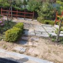 운서초등학교 이미지