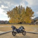 카페 모토라드 옆 이미지