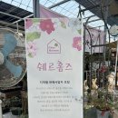 쉐르홈즈 이미지