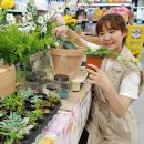 홈가드닝 이미지