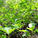 차차농장 이미지