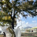 서운로21길 2 (1) 이미지