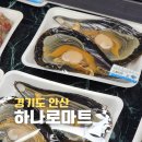 군자농협하나로마트대부점 | 대부도 대형마트 추천 [하나로마트 군자농협점] 바베큐 장보기(조개, 새우, 고기, 숯)