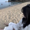 발한로(A) | 혼여행의 성지라는 묵호 1박 2일 여행기 (+ 맛집 &amp; 숙소 추천)