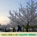 화평동왕갈비 | 북서울 꿈의숲 벚꽃 명소부터 맛집 화평동 왕냉면 왕갈비까지
