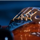 비올라 1:1 개인레슨 이미지