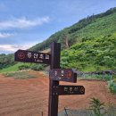 병산리 돌거북상 | 강원도 정선 여행 추천 민둥산 최단코스 후기(+주차장, 거북이쉼터)