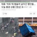 하토 이미지