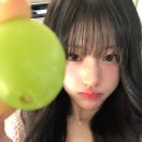 준휘 카카오 검색결과