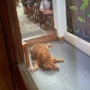 번개세탁소 | D6. 시키호르 투보드비치, 피토고 클리프, 부카페 … 노을 !!!