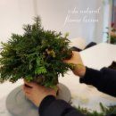 12/4 크리스마스 생화 트리 이미지