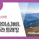 욜로오이소 이미지