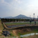 해남동물병원 이미지