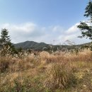 산삼약초전시장 이미지