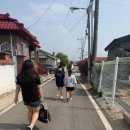 안성연화마을푸드뱅크 | 바쁘고 즐겁게! 백합의 6월 일상
