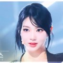 신위엔 이미지
