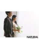 정우그린