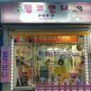 핑크언니PET# 네이버블로그
