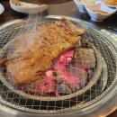 일상고기