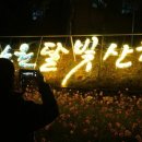 시민과 함께하는 예술산책 이미지