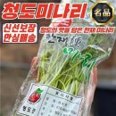 미나리