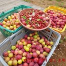 부자농장 이미지