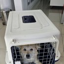 동부동물병원 이미지