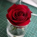 라프리마베라:봄이오다 - 성동구 왕십리광장로 17 | 라프리마베라:봄이오다