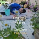 에코사운드 | [원데이 클래스 후기] 반려식물과 함께하는 사운드배스 명상 – 빛으로 힐링에콜