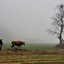 고향생각 이미지