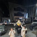 건뭉이네