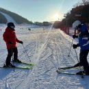 용평리조트 이미지