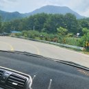 번암무룡고개로 이미지